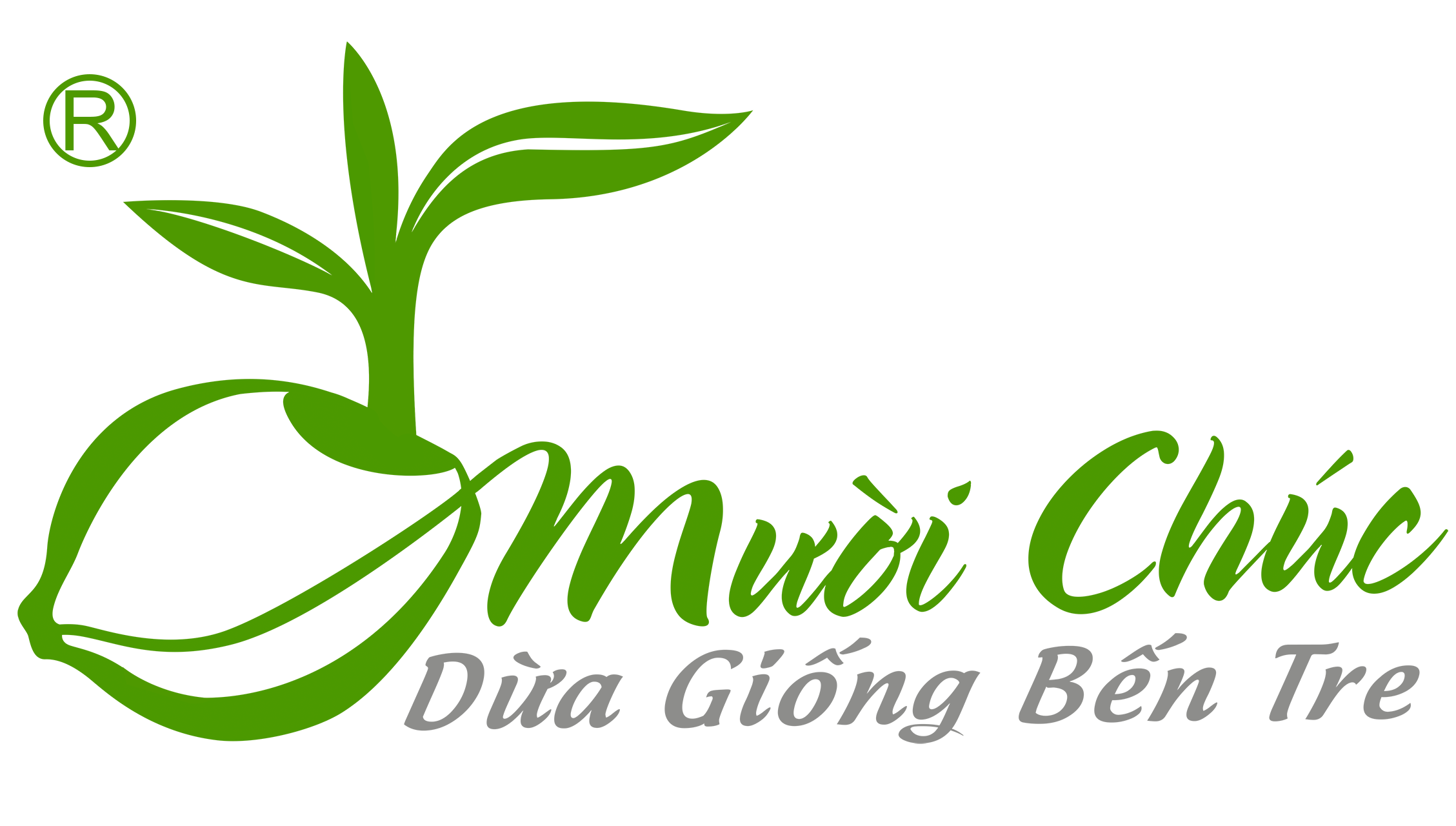 Dừa Giống Bến Tre